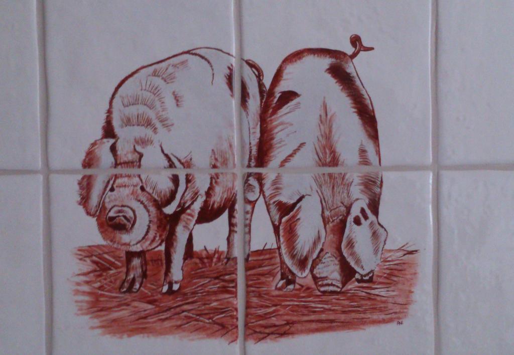 Stal Zwartschaap Stuifzand Quarto foto