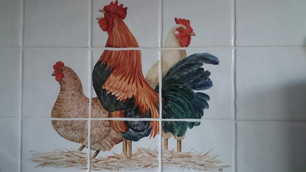 Stal Zwartschaap Stuifzand Quarto foto